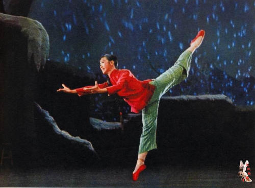 怎么买假的西弗吉尼亚州
